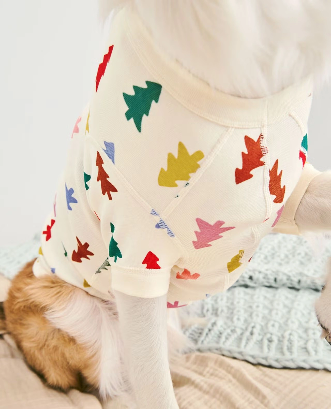 Holiday Dog Pajamas Festive Forest on Ecru