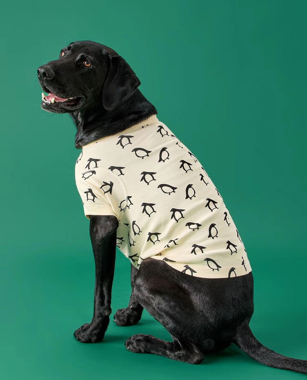 Holiday Dog Pajamas Squeaky the Penguin 3 Holiday Dog Pajamas Squeaky the Penguin