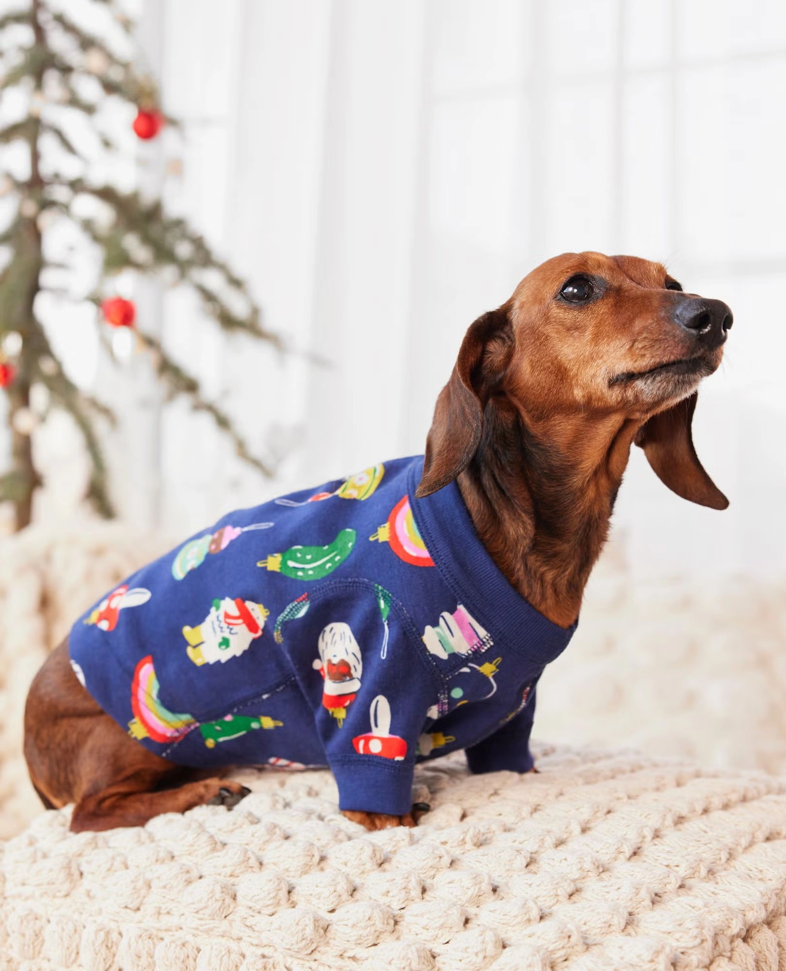 Holiday Dog Pajamas Gondolas