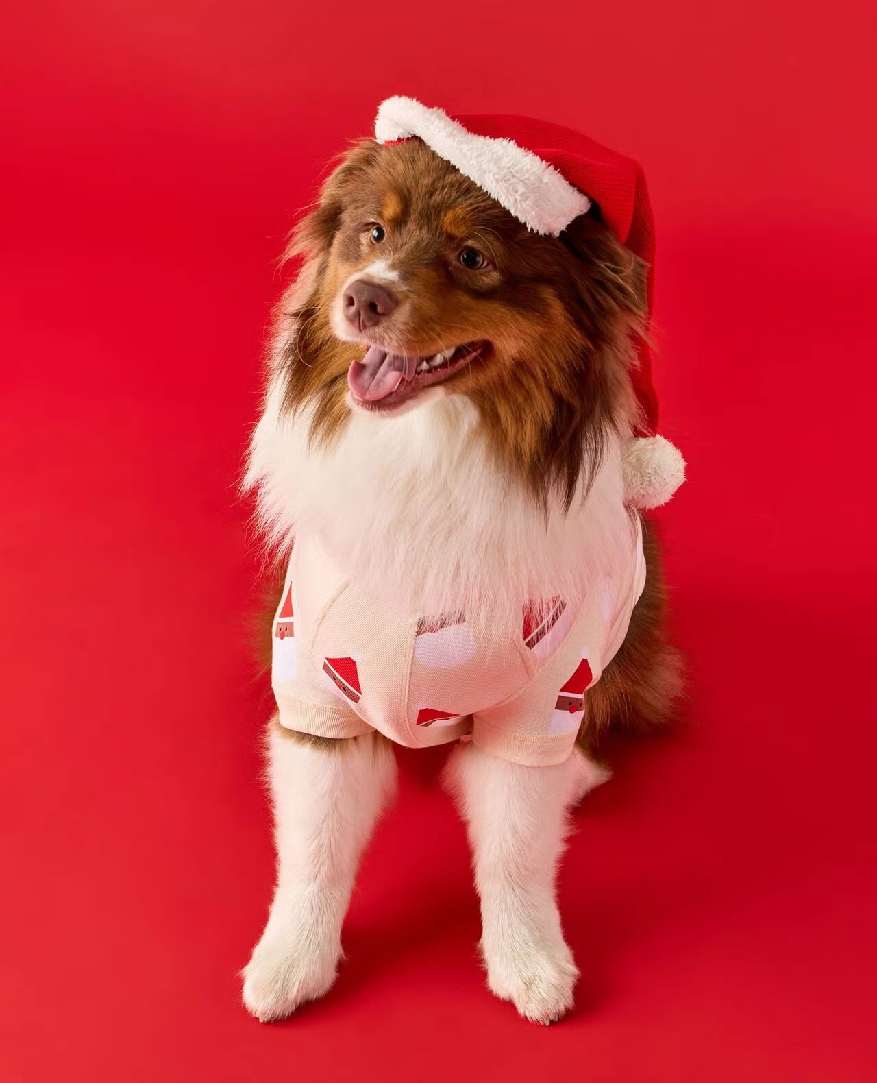Holiday Dog Pajamas Scandi Santa on Almond Oil