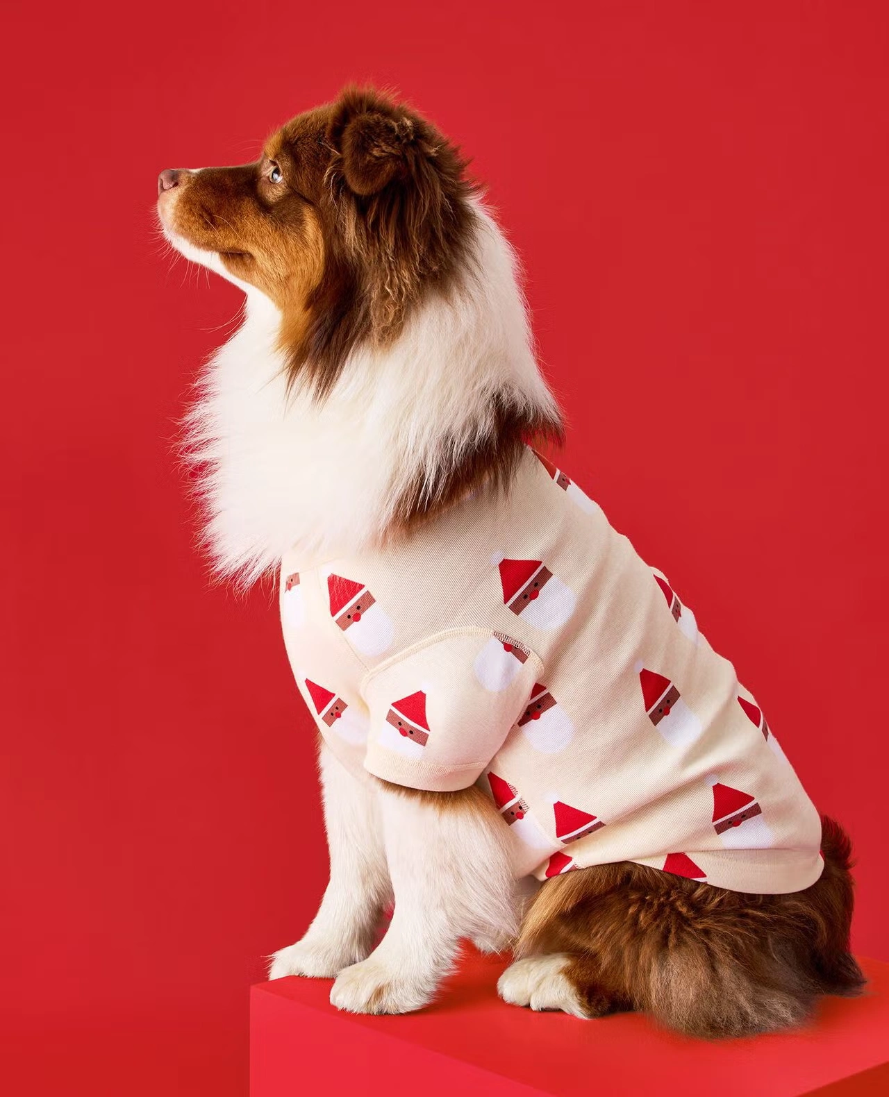 Holiday Dog Pajamas Scandi Santa on Almond Oil