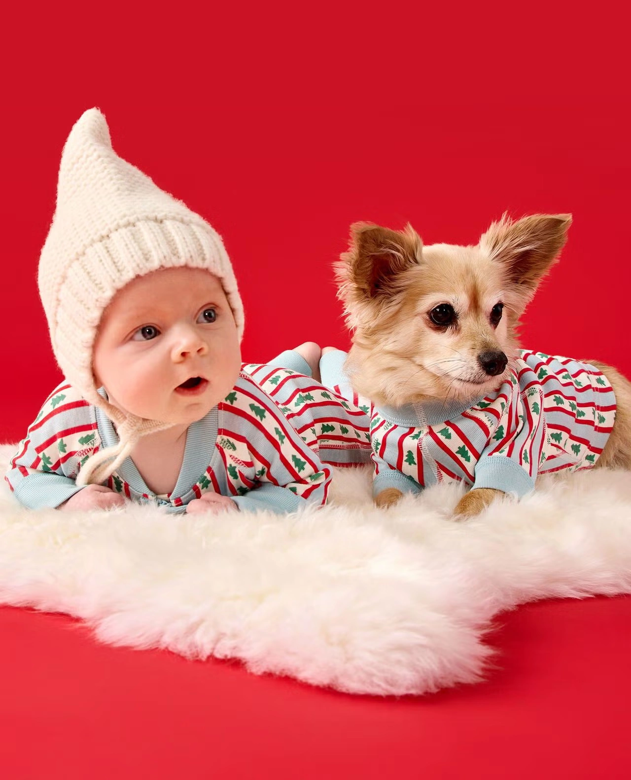 Holiday Dog Pajamas Tree Ribbons on Blue