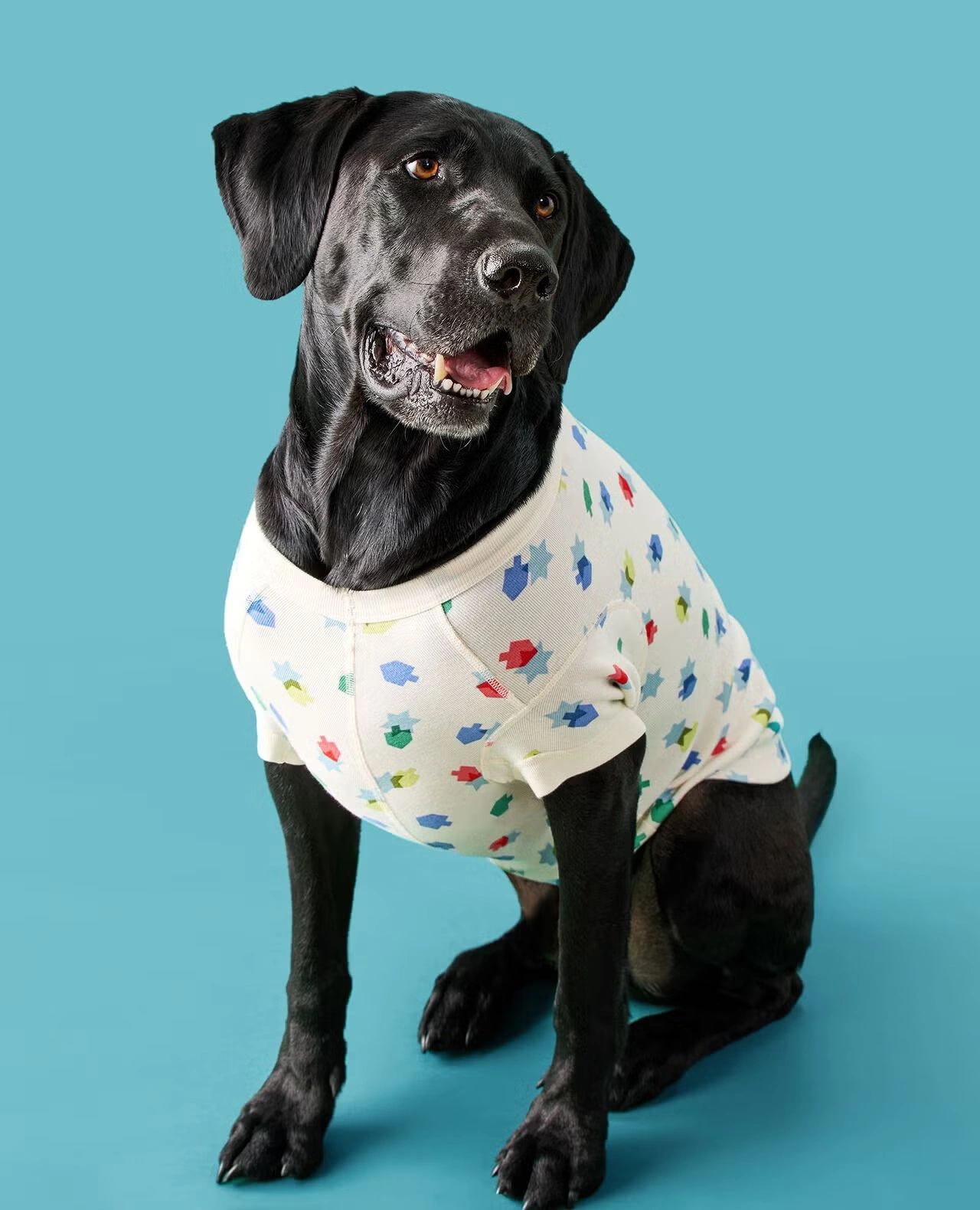 Holiday Dog Pajamas Dreidel Fun