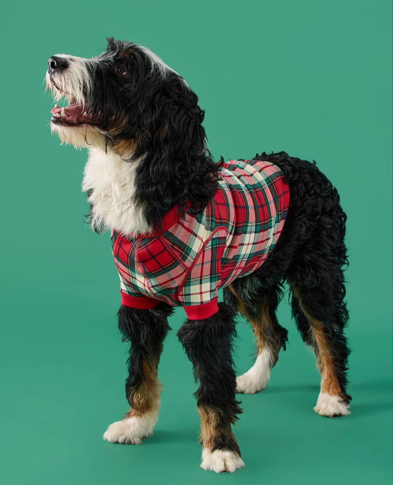 Holiday Dog Pajamas Red Holiday Plaid