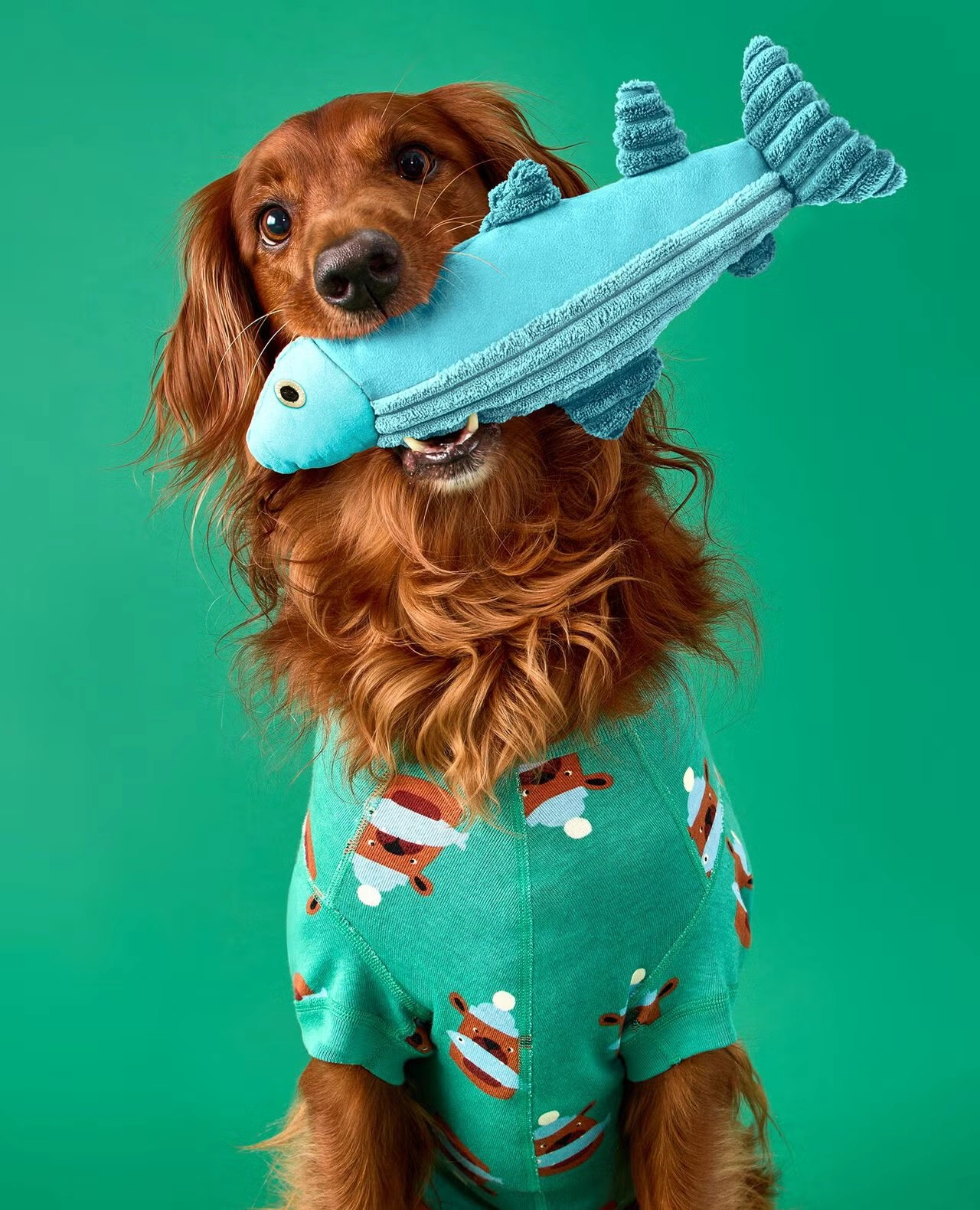 Holiday Dog Pajamas Fresh Catch on Bottle Green